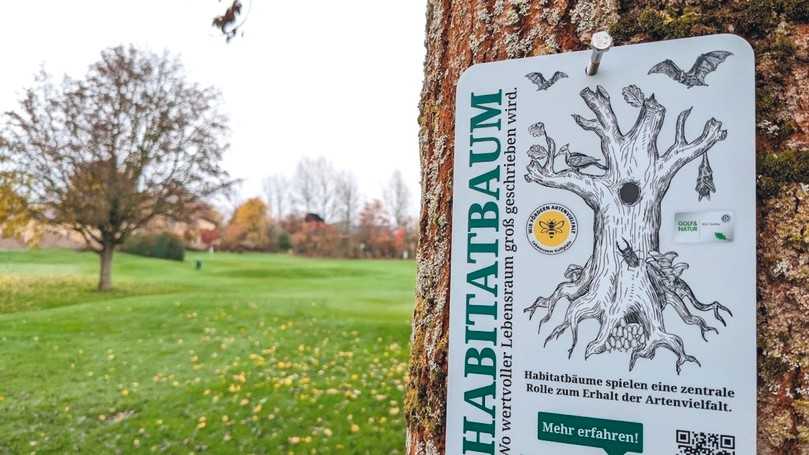 Habitatbäume schaffen Alleinstellungsmerkmale. Mit geeigneter Beschilderung lässt sich auf ihre Bedeutung zum Schutz der Artenvielfalt hinweisen. | Foto: Daniela Antoni Habitatbäume schaffen Alleinstellungsmerkmale. Mit geeigneter Beschilderung lässt sich auf ihre Bedeutung zum Schutz der Artenvielfalt hinweisen. | Foto: Daniela Antoni