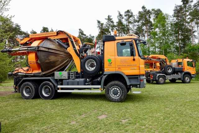 Sonderschau „Baum-Generator“ lädt zum Mitmachen ein