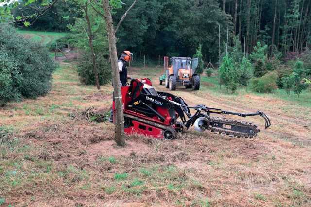Der Dingo mit Grabenfräse zieht bei Bosman die Bewässerungsgräben für die Bäume.