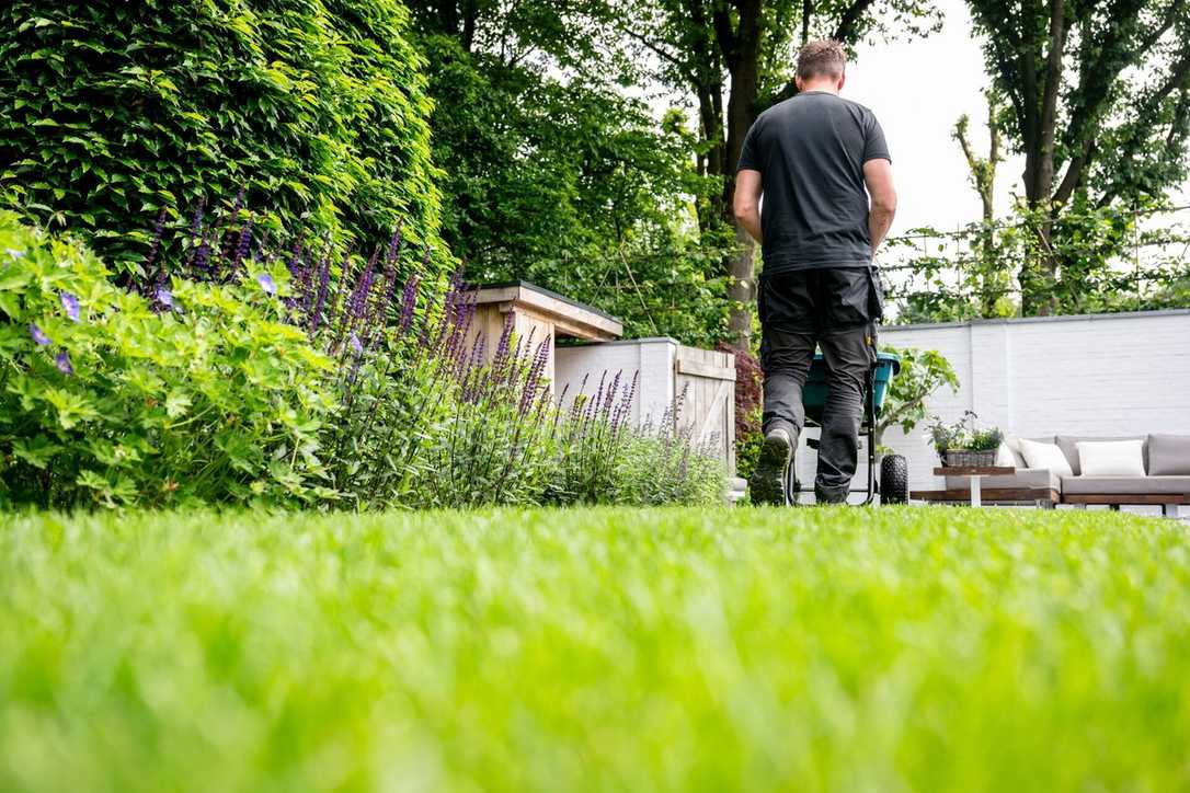 Bodenverbesserer & professioneller Rasendünger: Starke Pflanzen im GaLaBau