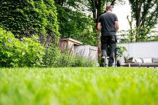 Bodenverbesserer und Rasendünger: GaLaBau-Neuheiten für den Sommer