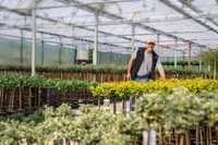 Baumschule Blendermann schlägt ein neues Kapitel auf