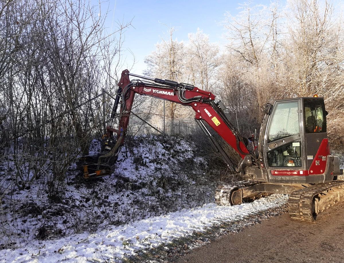 Arbeitet auch mit Baumschere für den Beschnitt von Bäumen und Hecken: der ViO80 von Yanmar. | Foto: Yanmar