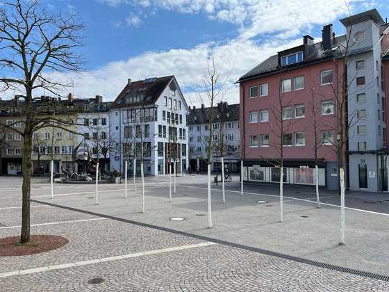 Hauraton: „Regenwasser als elementare Ressource für Stadt und Stadtgrün nutzen“