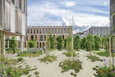 Mehr Grün auf befestigten Flächen – mit System