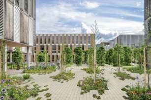 Mehr Grün auf befestigten Flächen – mit System