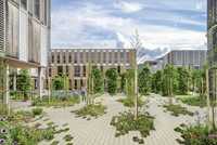 Mehr Grün auf befestigten Flächen – mit System