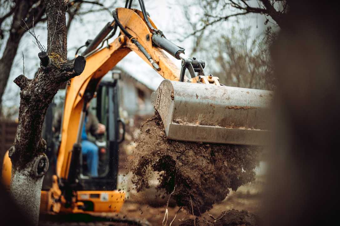 Baumschutz auf Baustellen: Gründe für Verstöße, Strafen und Rechtliches Baumschutz auf Baustellen: Gründe für Verstöße, Strafen und Rechtliches