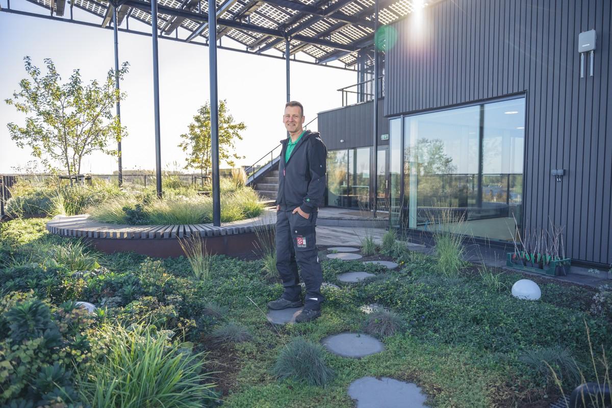 Gerd Jansen nutzt auf dem Dachgarten den Stihl Akku-Heckenschneider HLA 135. | Foto: Stihl