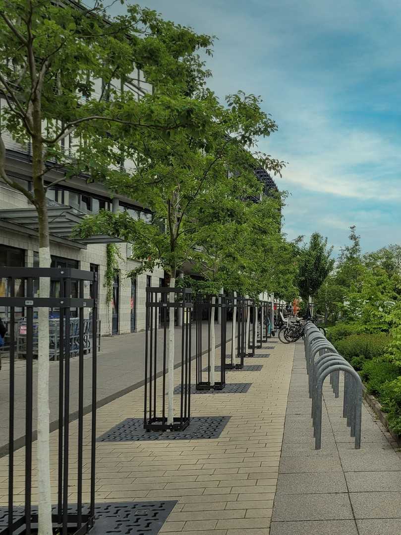 Nachher: Der Mainzer Dr.-Martin-Luther-King-Weg im Jahr 2025. | Foto: Gefa Fabritz