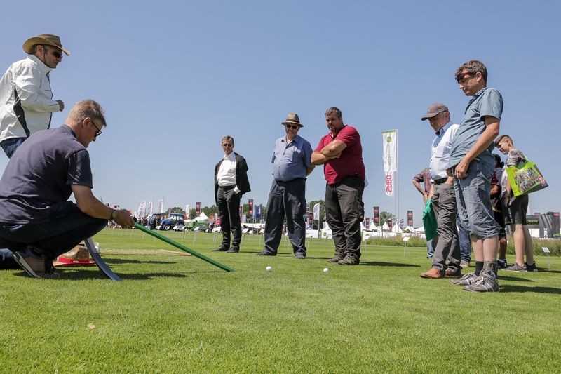 Neue Entwicklungen in der Rasenpflege - Experte im Interview