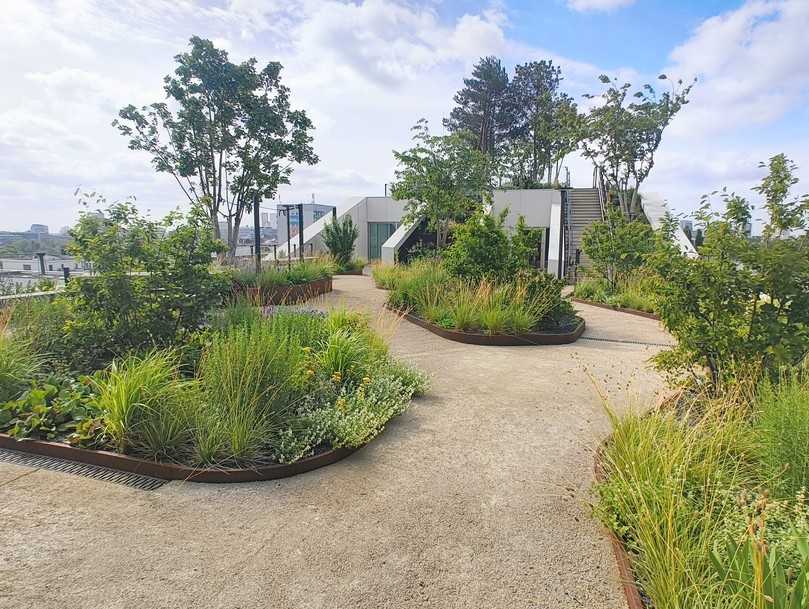 Der Dachgarten ist kaskadenförmig aufgebaut und mit heimischen Pflanzen bepflanzt. | Foto: B_I/Valdix