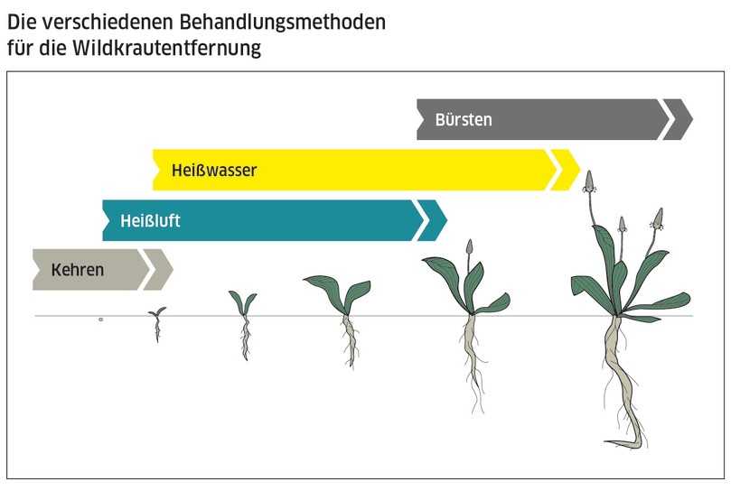 Wer regelmäßig kehrt, sorgt dafür, dass Samen gar nicht erst zu Unkraut werden können. Ist der Untergrund nicht fürs Kehren geeignet oder wird der Aufwand als zu groß erachtet, gibt es – je nach Wachstumsstadium – verschiedene technische Möglichkeiten: von Heißluft über heißen Wasserdampf und Heißwasser bis hin zur Mechanik. | Foto: Kärcher