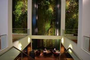 Welche Innenraumbegrünung es gibt und worauf dabei zu achten ist