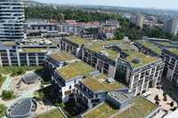 Fast acht Millionen Quadratmeter mehr Grün auf den Dächern