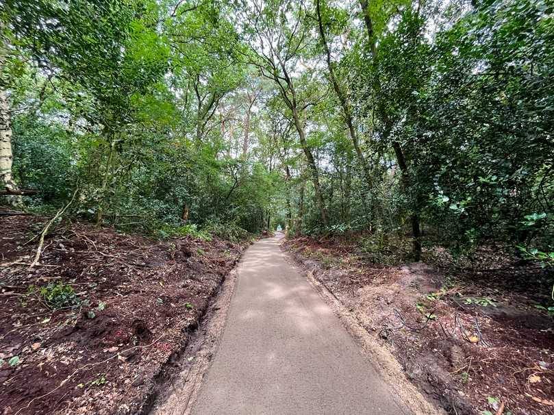 Die Baustelle umfasste einen Geh- und Waldweg von 250 Metern Länge und 1,6 Metern Breite. | Foto: Ammann Die Baustelle umfasste einen Geh- und Waldweg von 250 Metern Länge und 1,6 Metern Breite. | Foto: Ammann