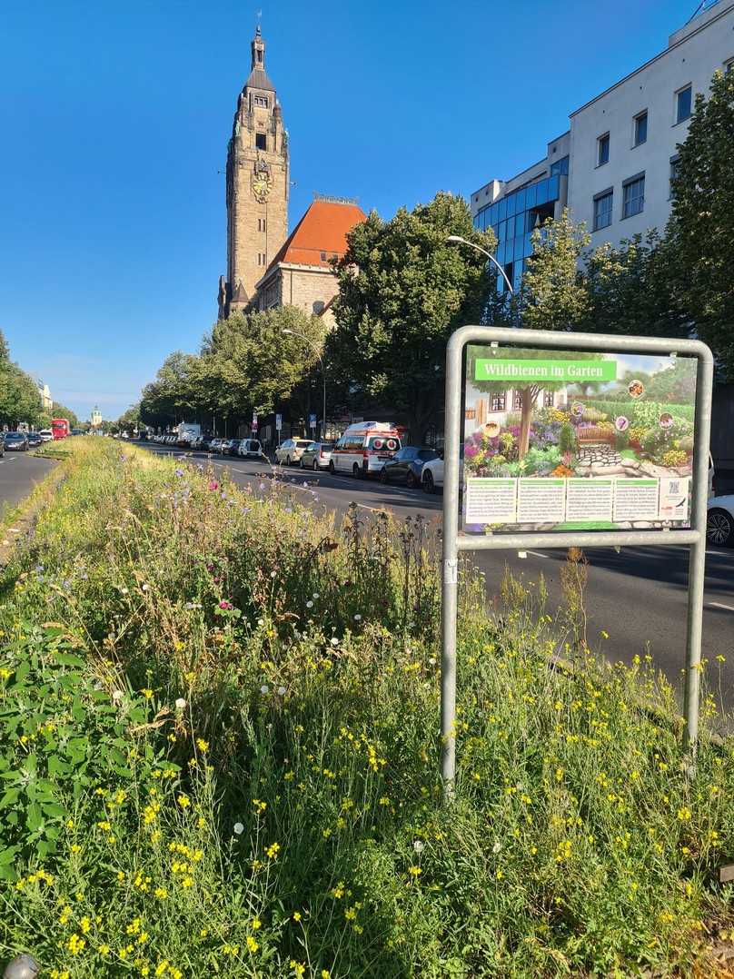 Bienenwiese an der Otto-Suhr-Allee vor dem Rathaus Charlottenburg | Foto: Bezirksamt Charlottenburg-Wilmersdorf Bienenwiese an der Otto-Suhr-Allee vor dem Rathaus Charlottenburg | Foto: Bezirksamt Charlottenburg-Wilmersdorf