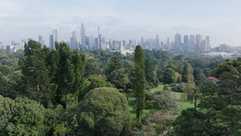 Melbournes grüne Antwort auf die Hitze