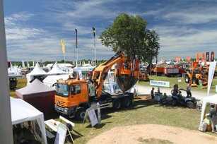 Verpflanzen statt fällen