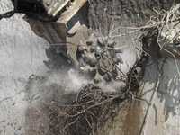 Erkat entwickelt Staubbindesystem für Baggeranbaufräsen