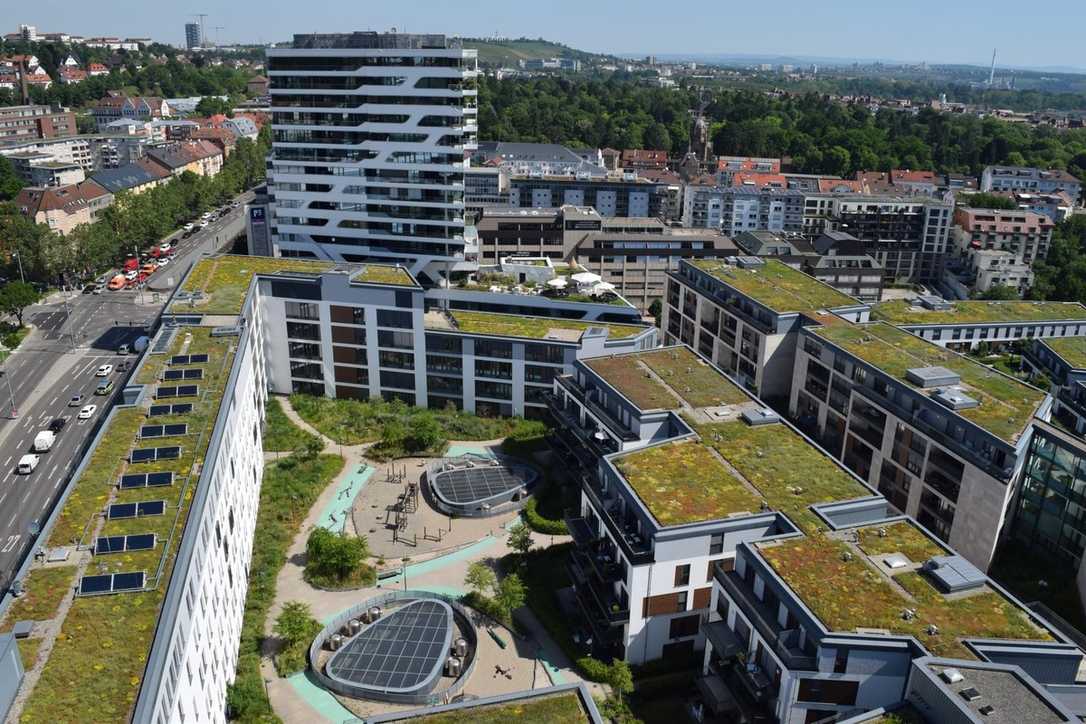 BuGG Positionspapier "Gebäudebegrünung als Klimafolgen-Anpassungsmaßnahme" BuGG Positionspapier "Gebäudebegrünung als Klimafolgen-Anpassungsmaßnahme"