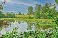 Alles im Lot in Teich, Weiher und Tümpel?