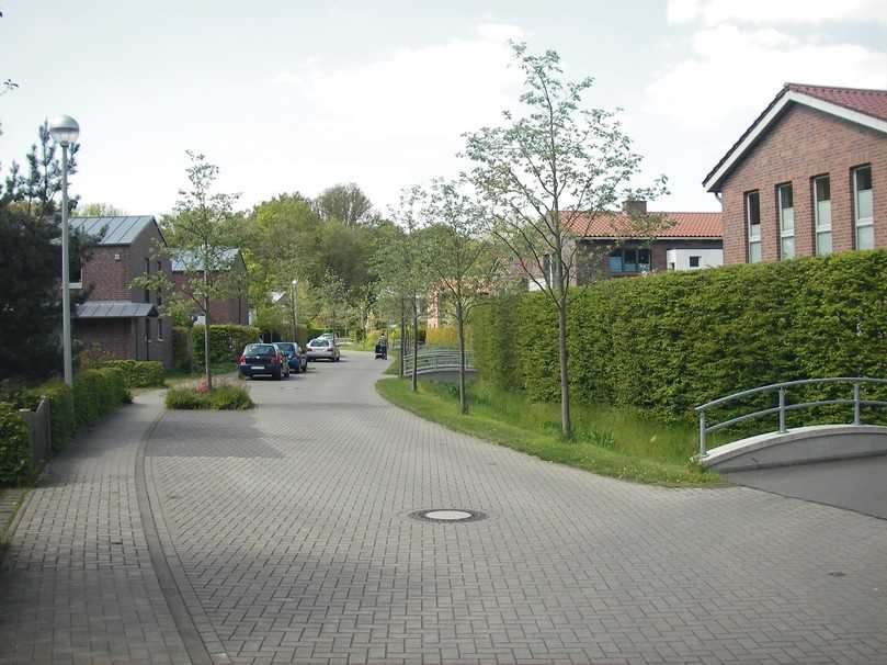 Straße mit Randgraben in einem Wohngebiet in Hannover. | Foto: Mathias Uhl Straße mit Randgraben in einem Wohngebiet in Hannover. | Foto: Mathias Uhl