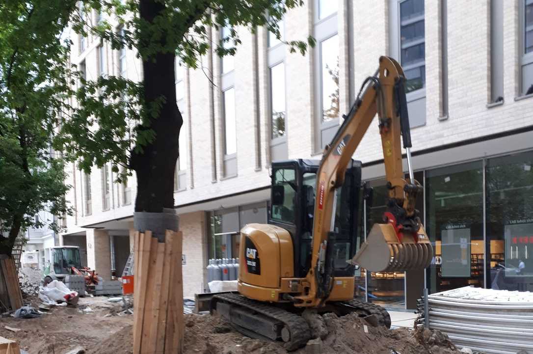 Die neue WVO - Folgen für den Baumschutz auf Baustellen Die neue WVO - Folgen für den Baumschutz auf Baustellen