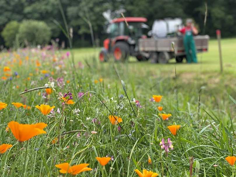 Blühwiese mit SpeedyGreener im Hintergrund. | Foto: IGG Blühwiese mit SpeedyGreener im Hintergrund. | Foto: IGG