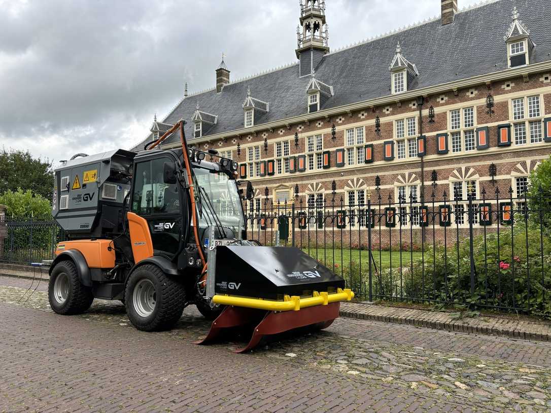 Elektrische Unkrautbeseitigung: Kosten sparen & Chemie vermeiden