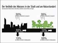 Ein kritischer Blick auf Baumstandorte mit Rigolen-Funktion