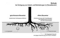 Aktuelle Normen und Regelwerke für den Baumschutz auf Baustellen