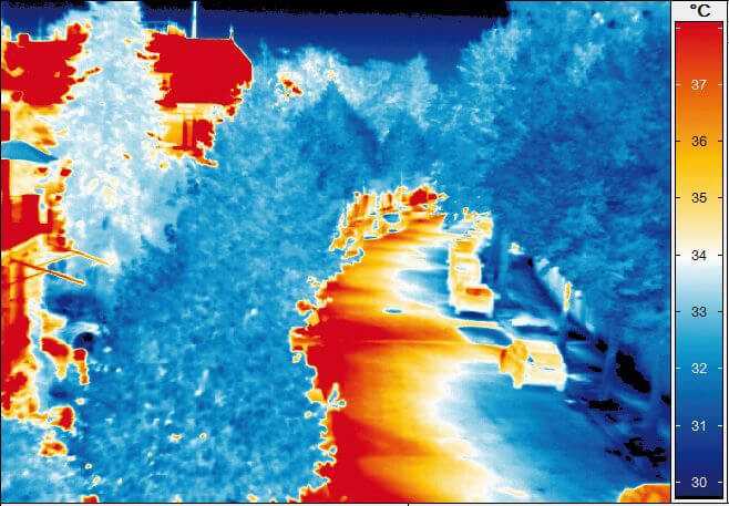 Abb 2. Die Oberflächentemperatur auf den sonnenexponierten Asphaltflächen ist bis zu 15 Grad Celsius höher als unter den Baumkronen. | Thermofotos: Sten Gillner Abb 2. Die Oberflächentemperatur auf den sonnenexponierten Asphaltflächen ist bis zu 15 Grad Celsius höher als unter den Baumkronen. | Thermofotos: Sten Gillner