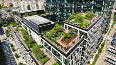 Mit Dachbegrünung neue Impulse setzen
