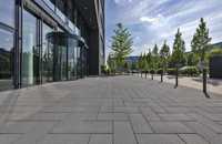 Betonpflasterstein – Eine Inspiration der Natur