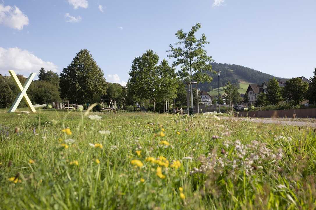 Gartenschau im Tal X mit ĂŒber 1000 Veranstaltungen Gartenschau im Tal X mit ĂŒber 1000 Veranstaltungen