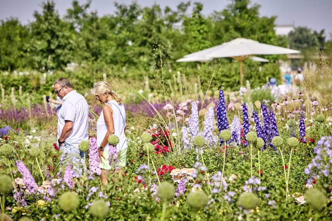Sieben Zahlen zur Bundesgartenschau 2023 Sieben Zahlen zur Bundesgartenschau 2023