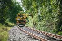 Verzicht der DB auf Glyphosat spiegelt Stand der Forschung