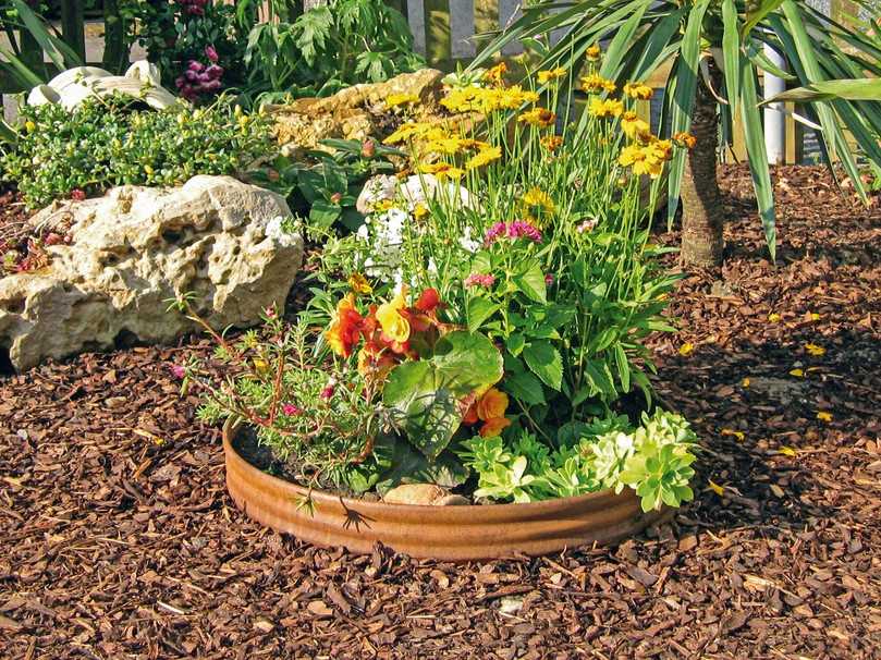 Die Oberkante von Gartenprofil Pro ist abgerundet und damit gut geeignet für Gärten, in denen Kinder spielen | Foto: Terra-S Die Oberkante von Gartenprofil Pro ist abgerundet und damit gut geeignet für Gärten, in denen Kinder spielen | Foto: Terra-S