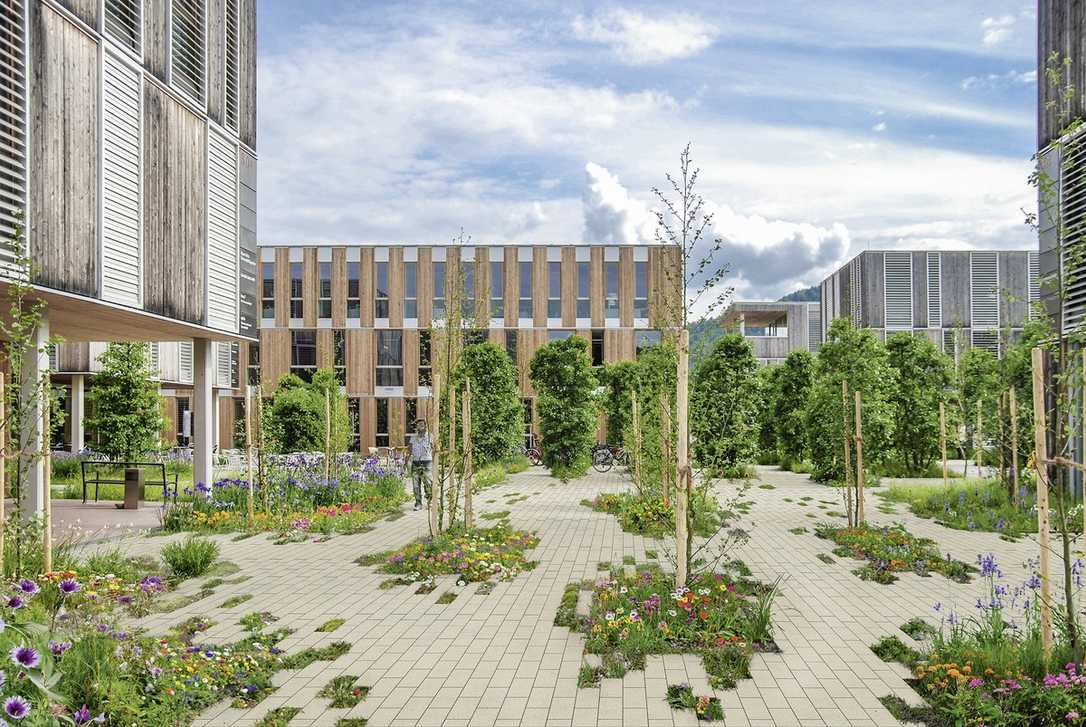 Grüne Pflastersteine – bis zu 50 Prozent weniger Versiegelung Grüne Pflastersteine – bis zu 50 Prozent weniger Versiegelung