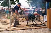 Forst-Spezialmaschinen, Digitales und klimagerechter Waldumbau