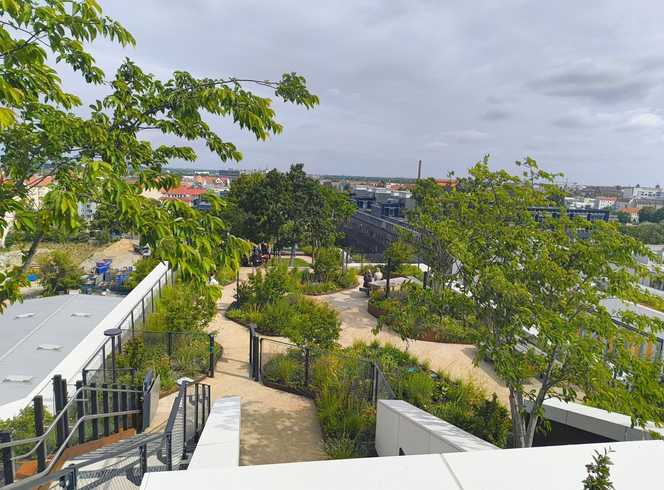 Ein Park auf dem Dach