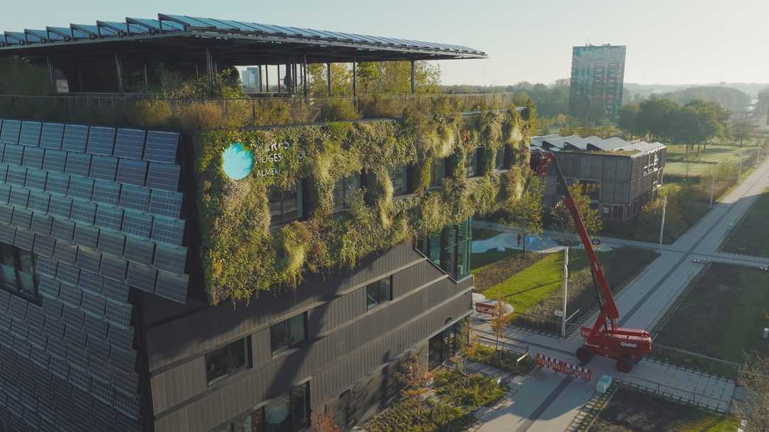 Gebäudebegrünung pflegen: So arbeitet die Ginkel Groep mit Stihl-Akku-Geräten