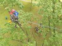 Fördergeld für Wissenschaft und Bildung beantragen