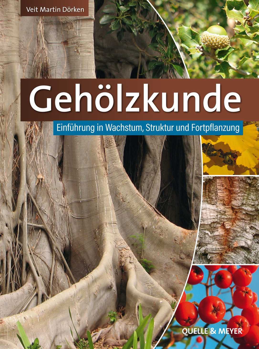 Gehölzkunde von V. M. Dörken: Neues Lehrbuch zur Gehölzbotanik