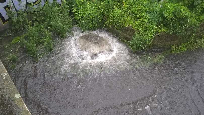 Wasser quillt aus einer Schachtabdeckung. Die Ursache ist üblicherweise Rückstau aus dem Kanal als Folge eines Starkregens. Bei unterirdischen Regenspeichern unterhalb der Rückstauebene, die nicht dagegen gesichert sind, droht die Kontamination des Wasservorrats. | Foto: Mall Wasser quillt aus einer Schachtabdeckung. Die Ursache ist üblicherweise Rückstau aus dem Kanal als Folge eines Starkregens. Bei unterirdischen Regenspeichern unterhalb der Rückstauebene, die nicht dagegen gesichert sind, droht die Kontamination des Wasservorrats. | Foto: Mall
