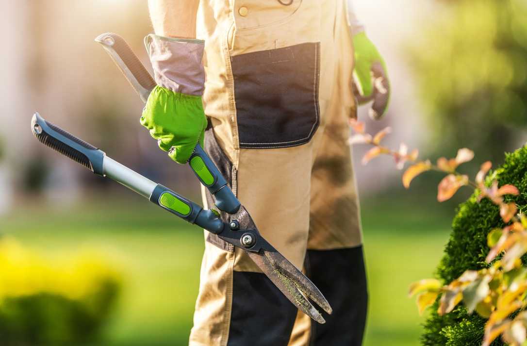 Tarifabschluss 2025 im GaLaBau: So viel Geld gibt es