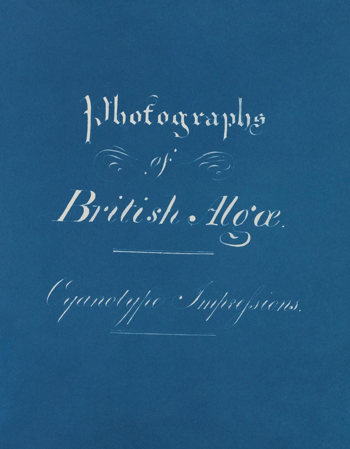 Die unnachahmlichen Cyanotypie-Fotogramme von Algen und Farnen, die Atkins anfertigte, bilden die ersten Bücher mit Fotografien. | Foto: BHTASCHEN / New York Public Library Die unnachahmlichen Cyanotypie-Fotogramme von Algen und Farnen, die Atkins anfertigte, bilden die ersten Bücher mit Fotografien. | Foto: BHTASCHEN / New York Public Library