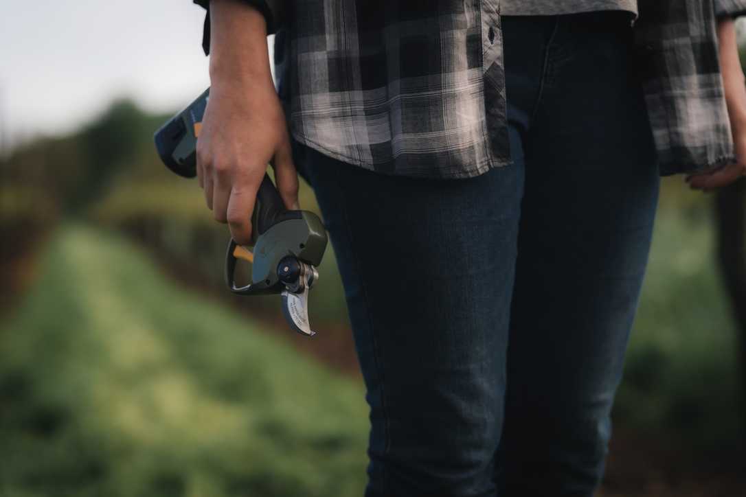 Die besten Akku-Astscheren 2026 für Profis und Heimwerker