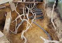 Handlungsempfehlungen zum Wurzelschutz